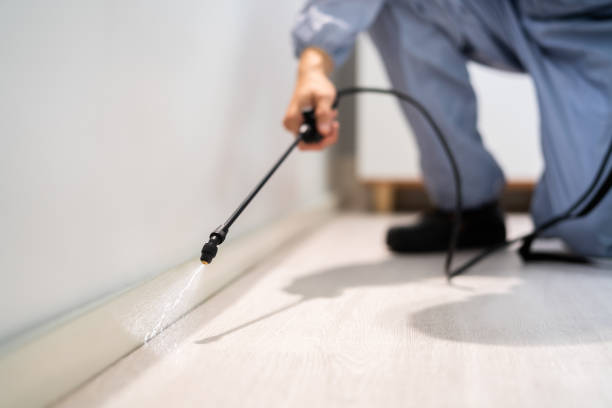 Licensed Termite Control service in Avondale, LA - Nex Pest Control