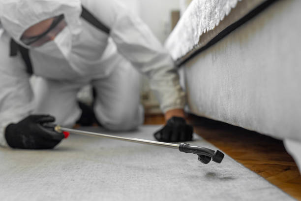Professional Termite Control technician working in Avondale, LA
